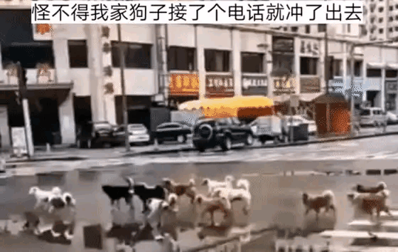 你没看错，这是混社会的狗子们的火拼时刻[机智]