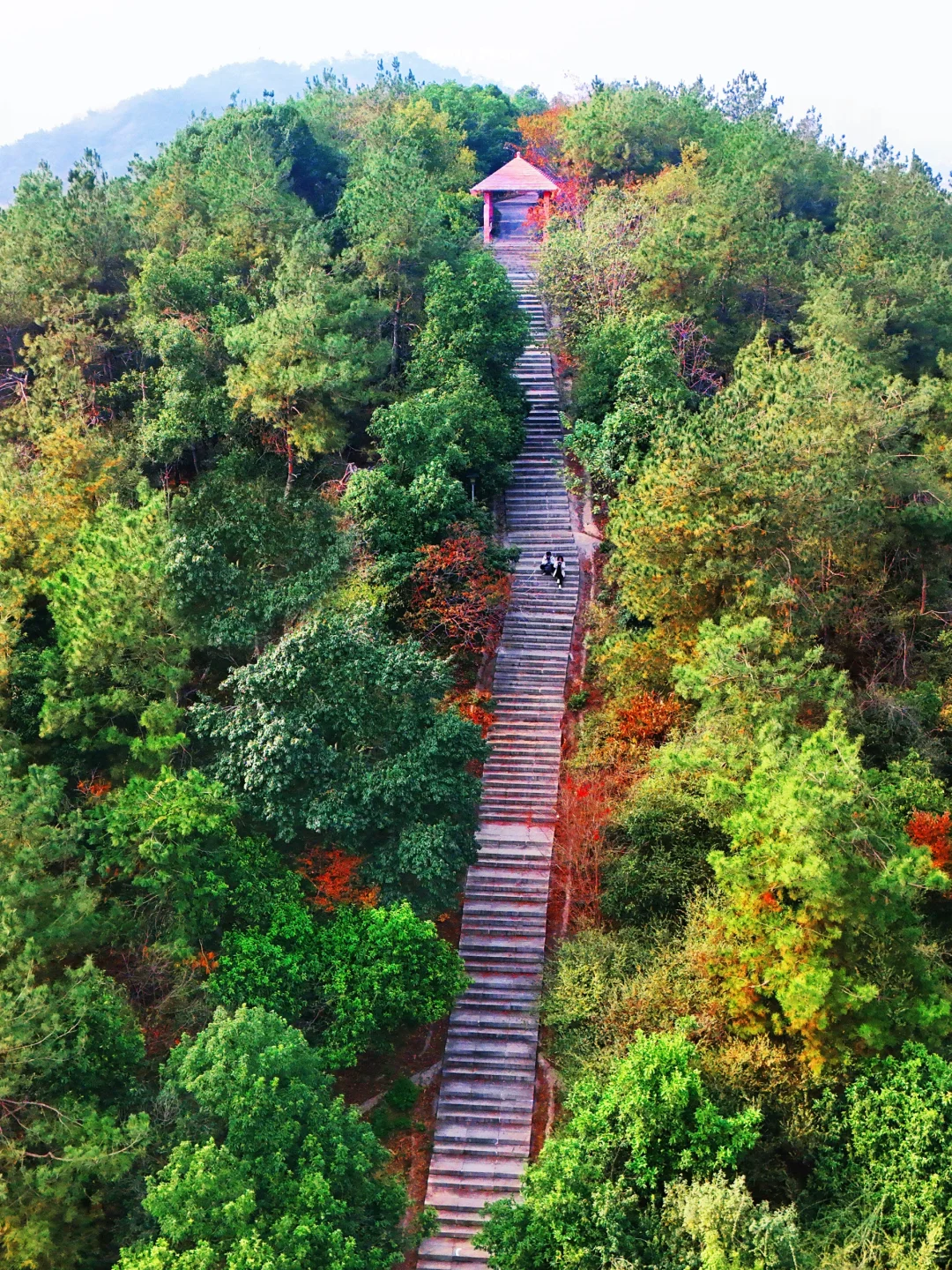 武汉人嘴真严！绝美冷门赏秋天阶梯不宣传？🍂