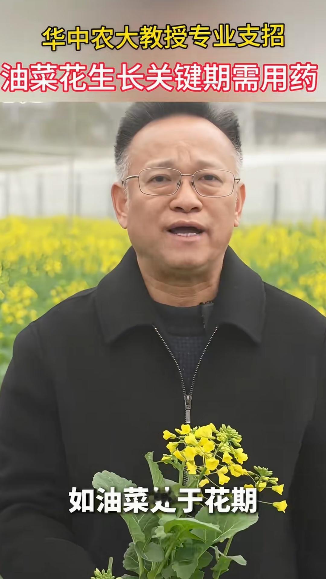 蜜蜂是整个农业产业链的最底层的授粉者，一个生态系统的最底层的小蜜蜂没了，生态不就