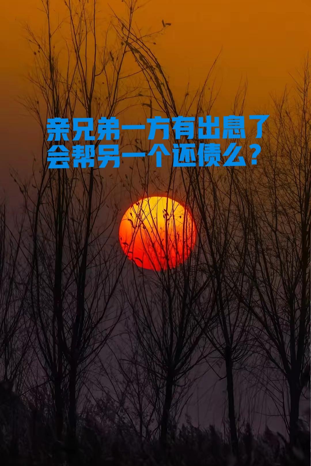看到有这样的提问：俩个儿子有一个有出息了，会帮另一个还债么？
评论区最火的一条是