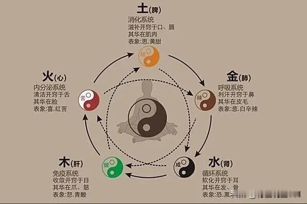身体器官养生知识，让你健康无忧

在繁忙的生活中，我们常常忽视了对身体的关爱。而