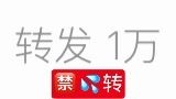 本bot即日起将全面抗洪💦🈲恶意注💦🈲💦👍超5k（删评处理）🈲热转