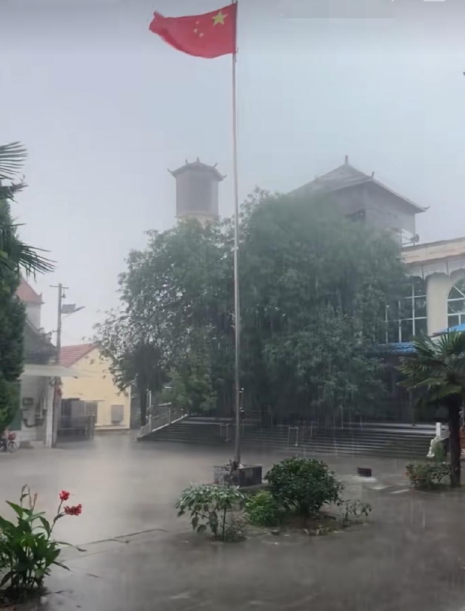 随手拍最美的风景风雨中曹县回民张庄清真寺内500余年皂荚树