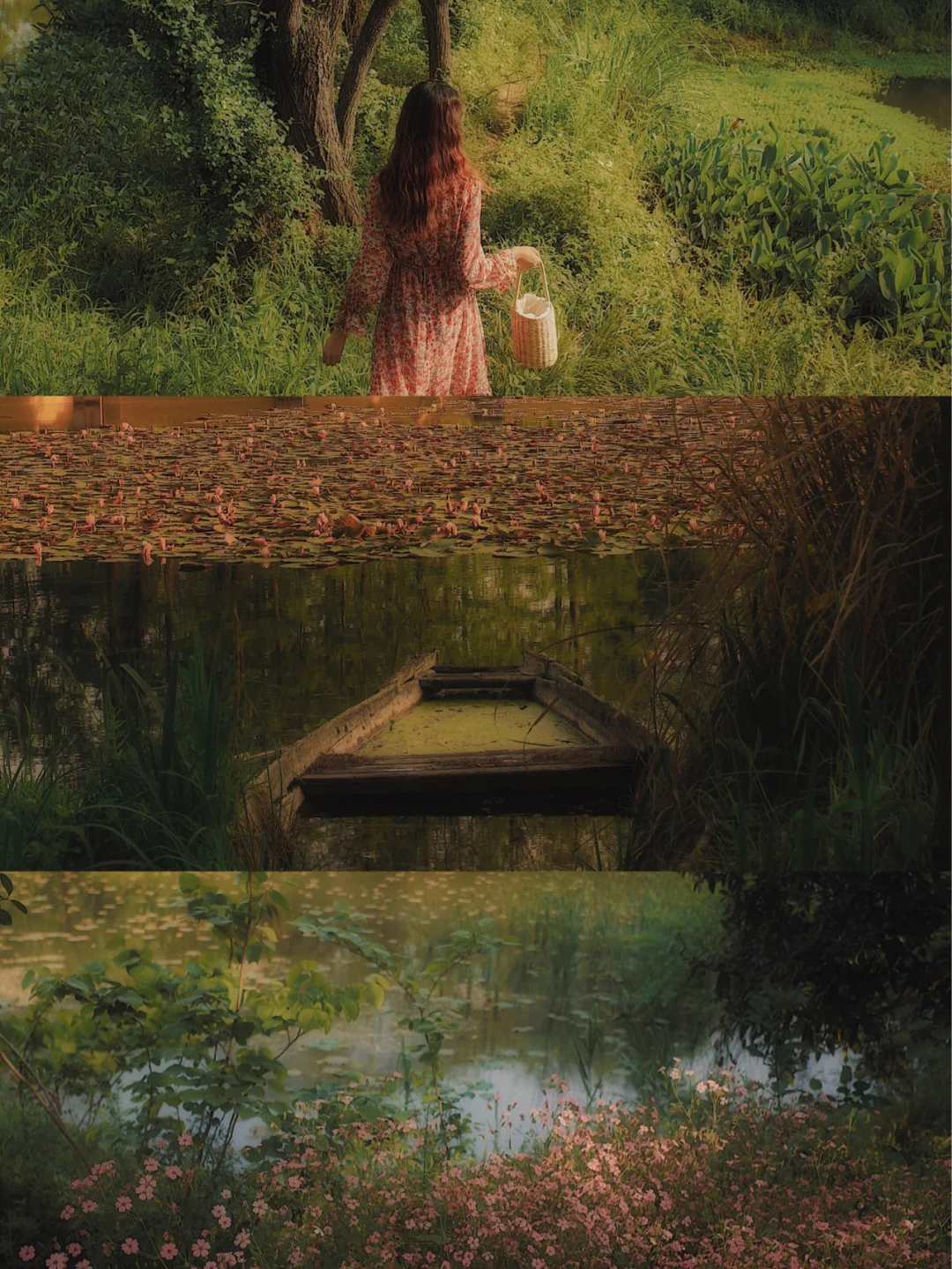 哇！湿地公园也能拍出朦胧的法式复古的感觉