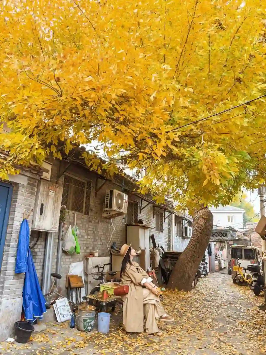 10.15实况live🍂老胡同里的人间天堂！附机位