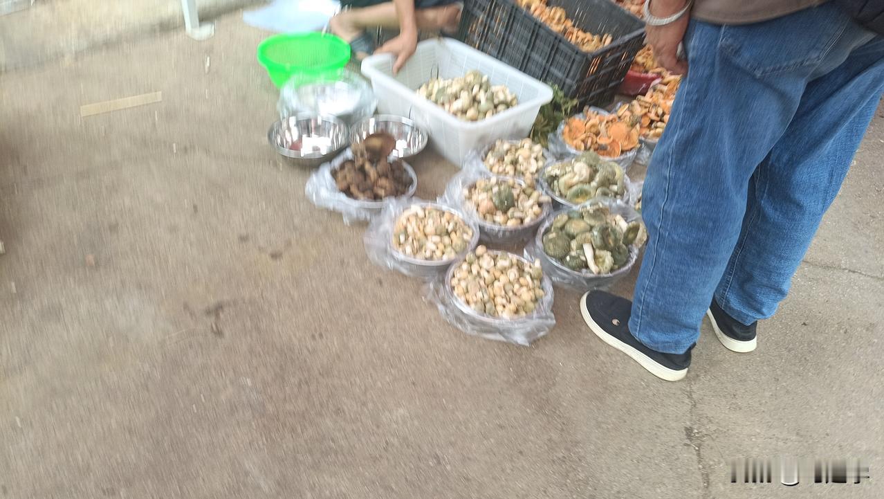 云南的蘑菇应该是大量出产了，刚才在昆明经开区大冲农贸市场赶集，问了一下价格，一百