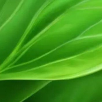 正能量人们常说，悠悠之口难堵，流言蜚语难止，的确如此，有人诋毁你，有人说你好，有