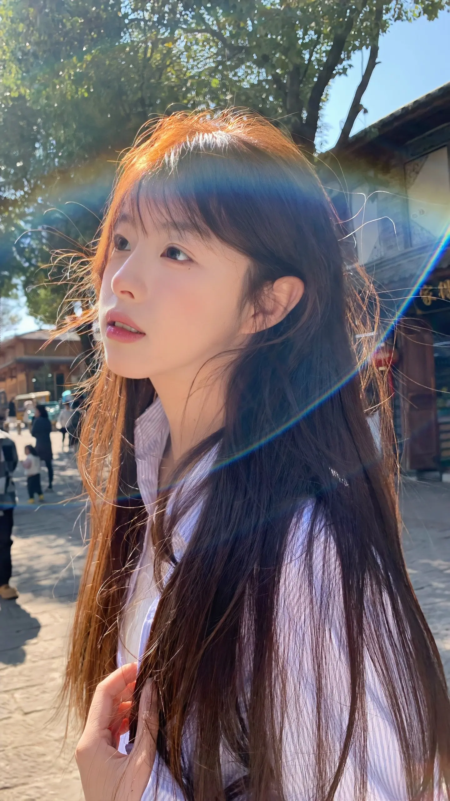 去有风的地方 聆听时光翻页的声音