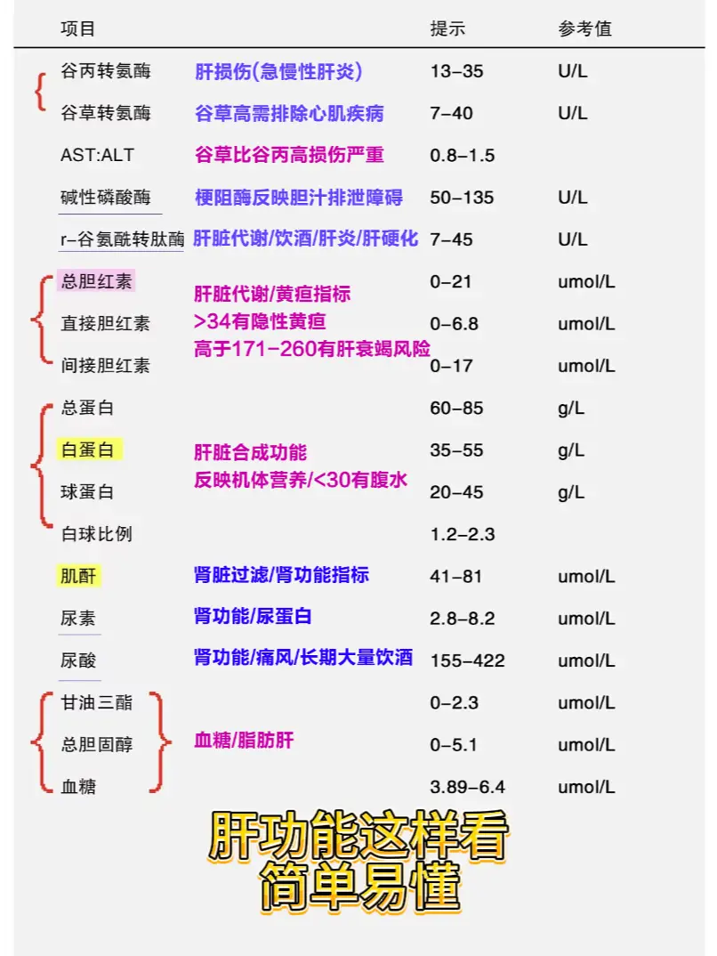 肝功能这样看 简单易懂！