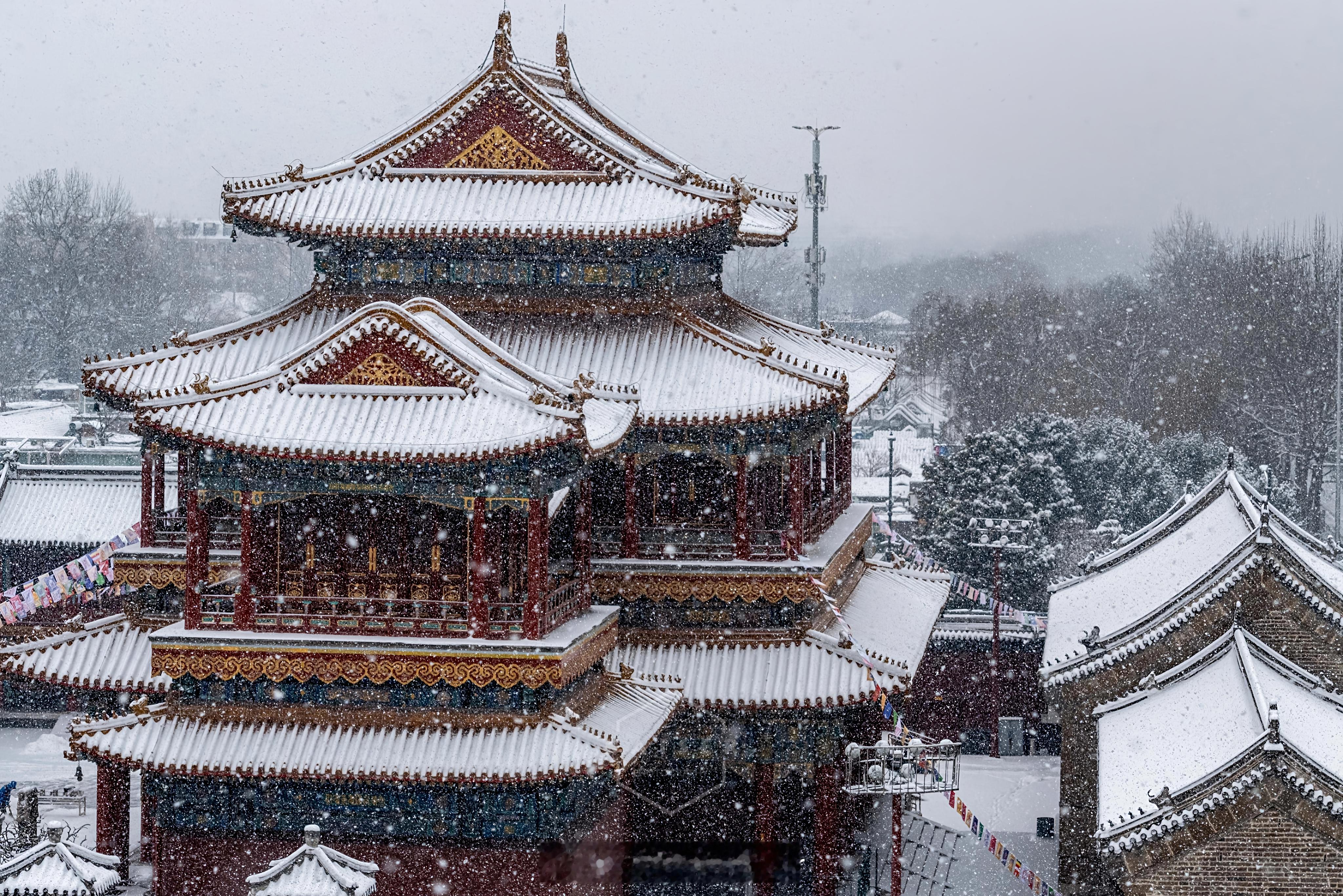 北京下雪了一下雪，北京就变成了北平❄️ ​​​