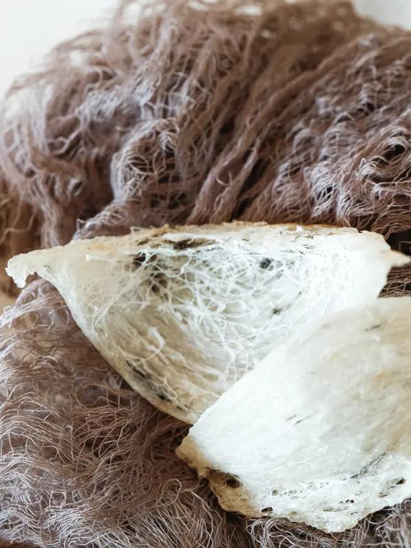 中国首次从越南进口毛燕 2026年3月2日可是个值得纪念的日子，中国首次从越南进