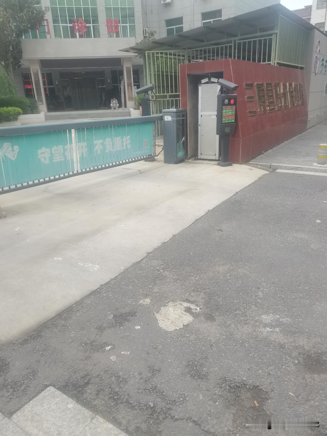 之前刷到过不少山里人种了十几年生态林，年年巡山补苗把荒坡养得郁郁葱葱，结果碳汇交