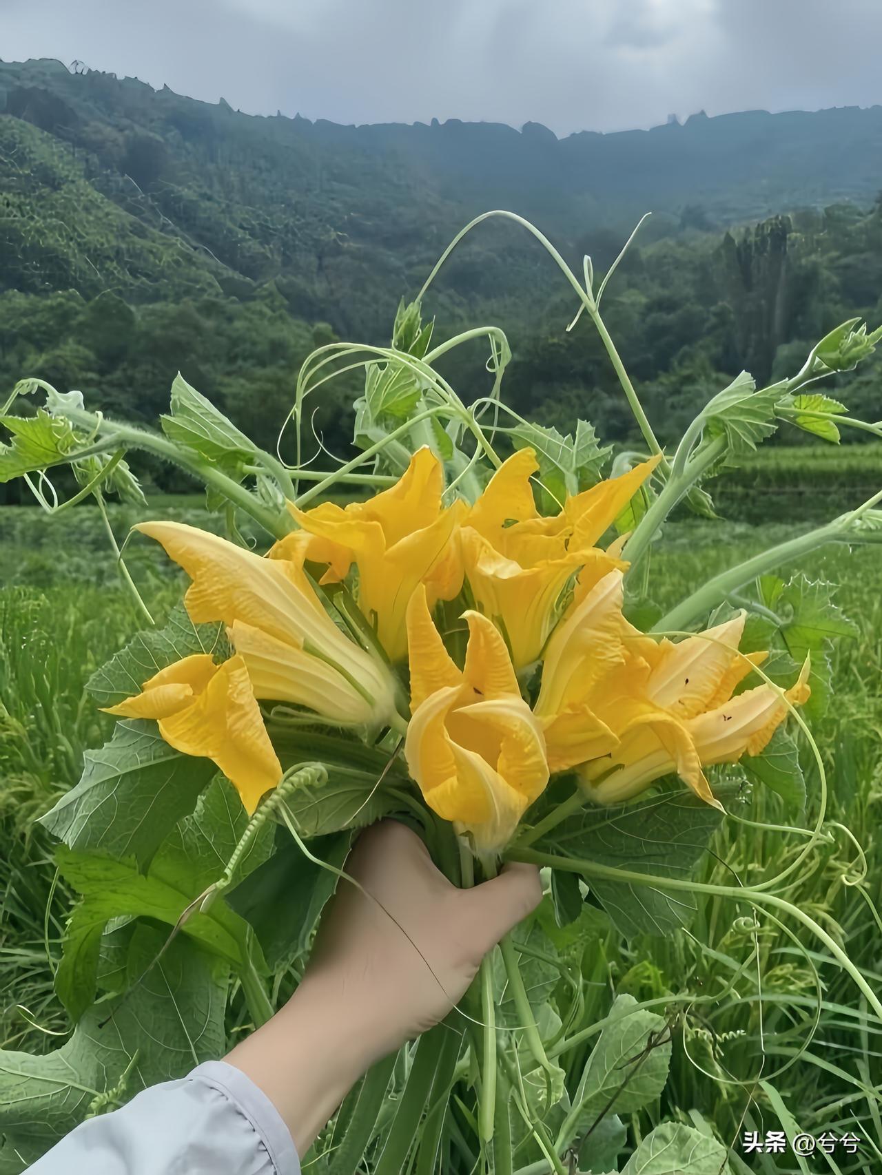 人这一辈子
有人说：
现在社会，
养儿防老，
已经是伪命题了。

你若不早做准备