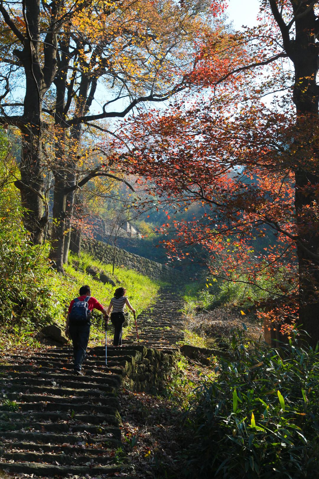 【不要在心情糟烂差的时候， 用决绝的话伤害爱你的人】
        人在心情糟