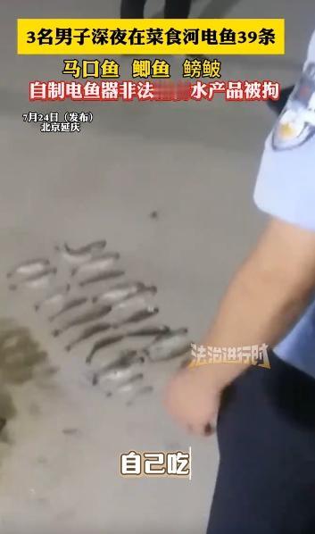 北京延庆，一男子深夜带着自行组装电鱼器，含电瓶、增压器，穿上橡胶连体裤去河道电鱼