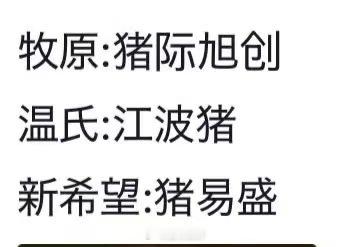猪模块有自己的易中天 