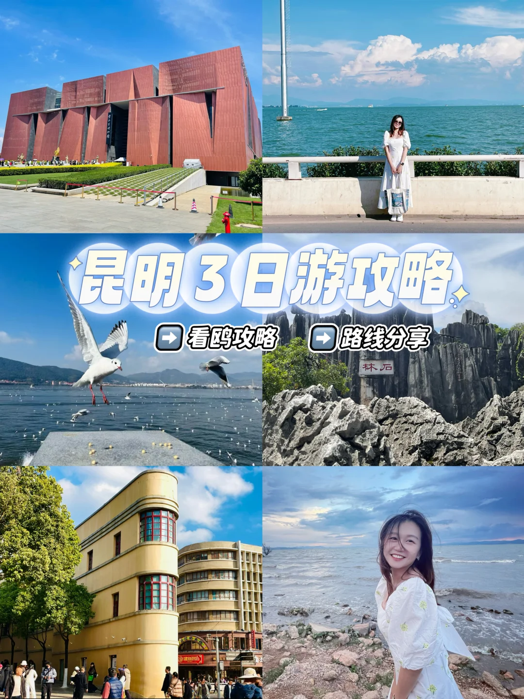 昆明3日游攻略🐦看海鸥攻略+路线分享