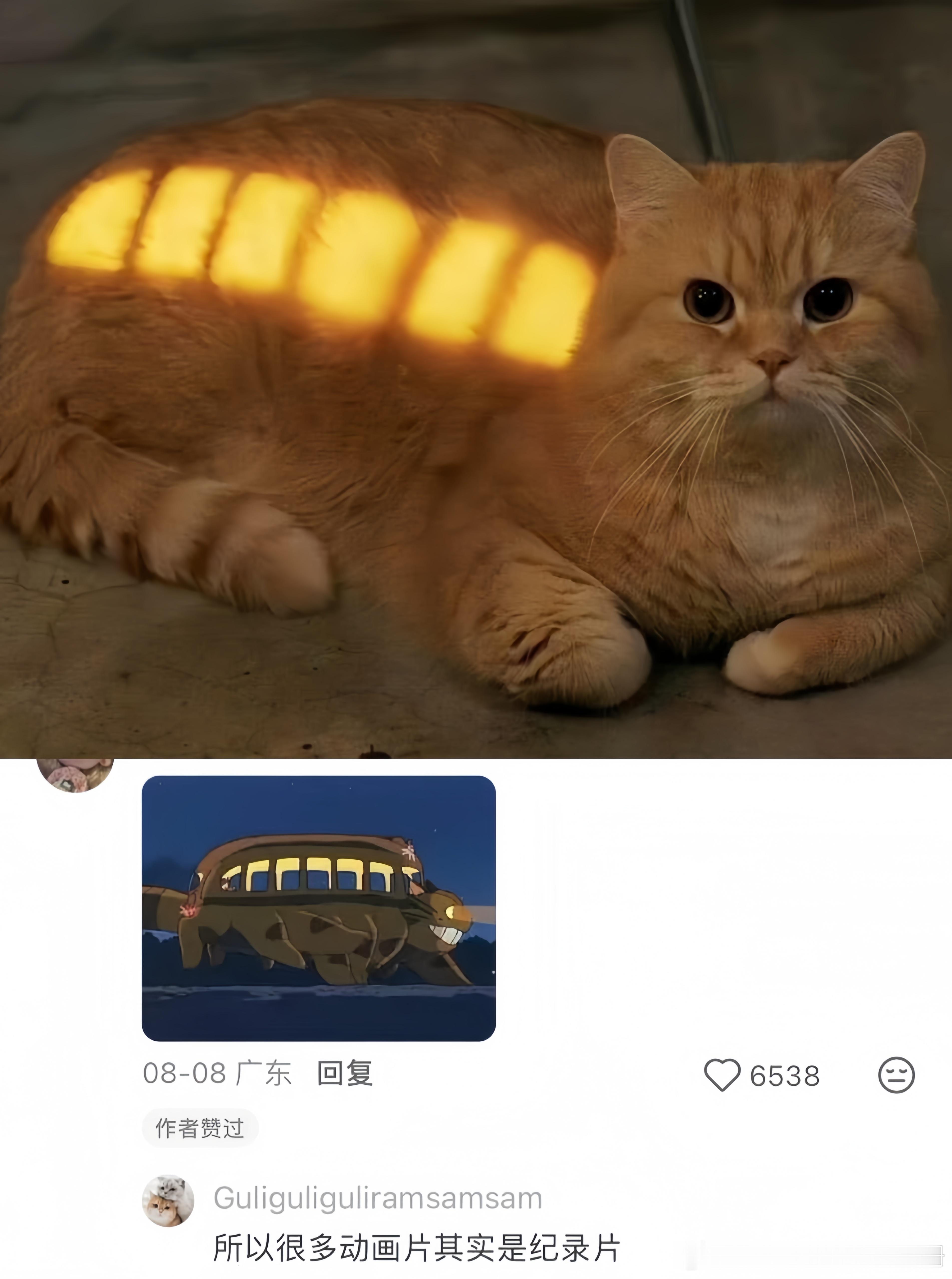 小猫咪你的电已经充满啦 ​​​