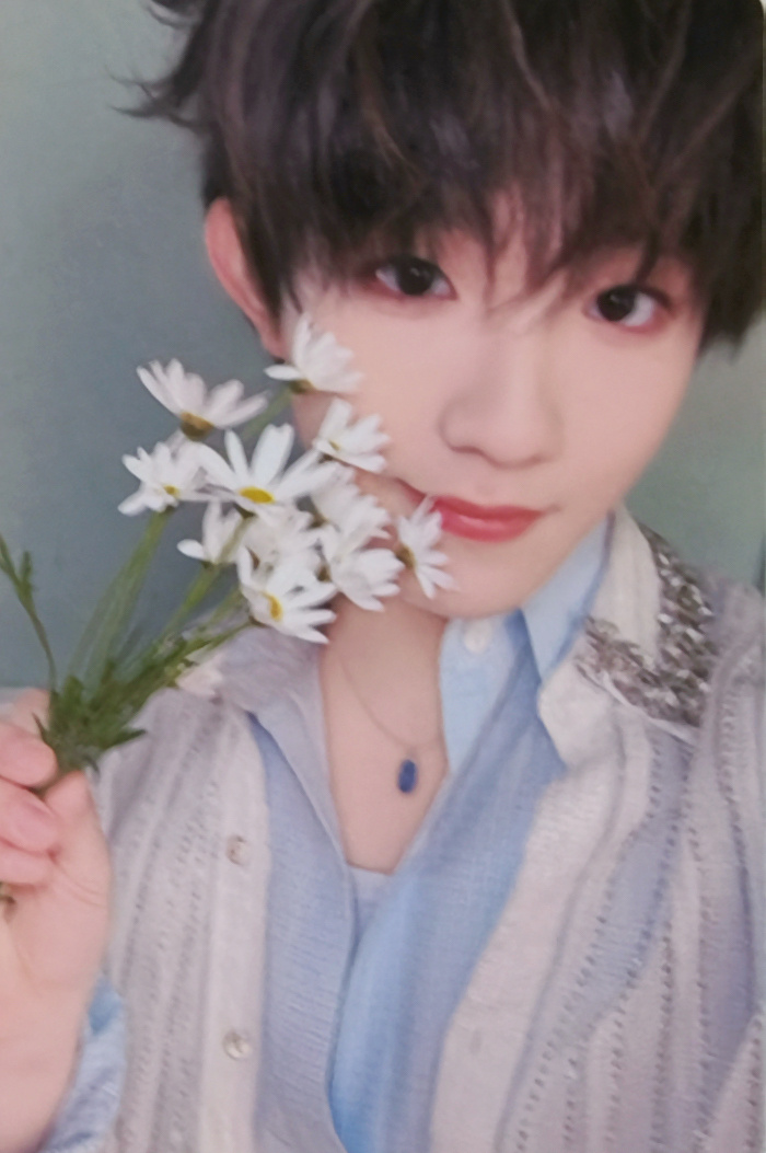 花与少年🌸苏新皓