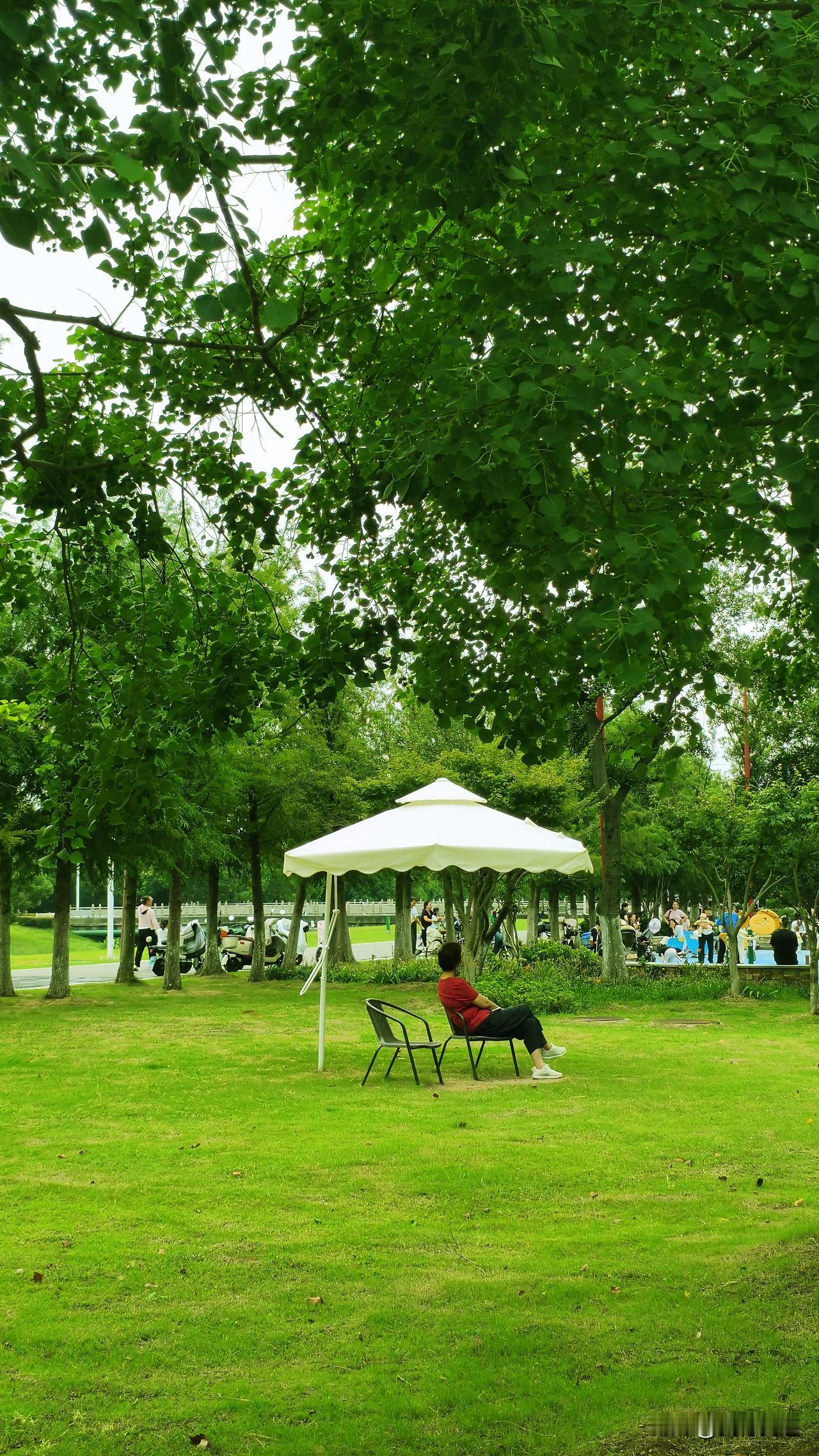 南京这波气温慢悠悠往上爬，5号起不少城市最高温直接冲回30℃以上，完全没有入秋的