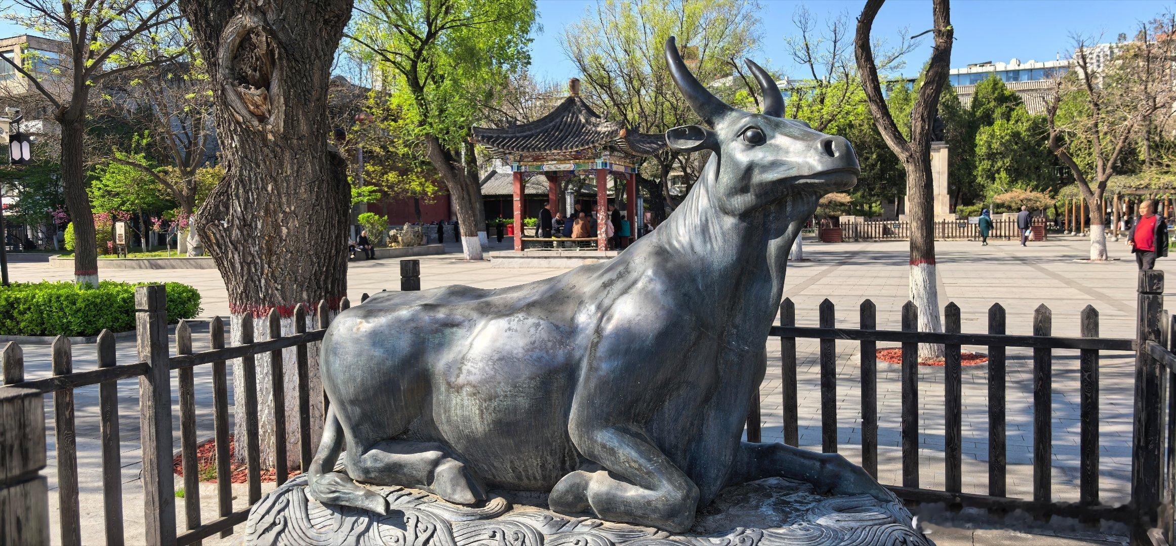 此刻，迎着阳光慢慢走太原文瀛公园 