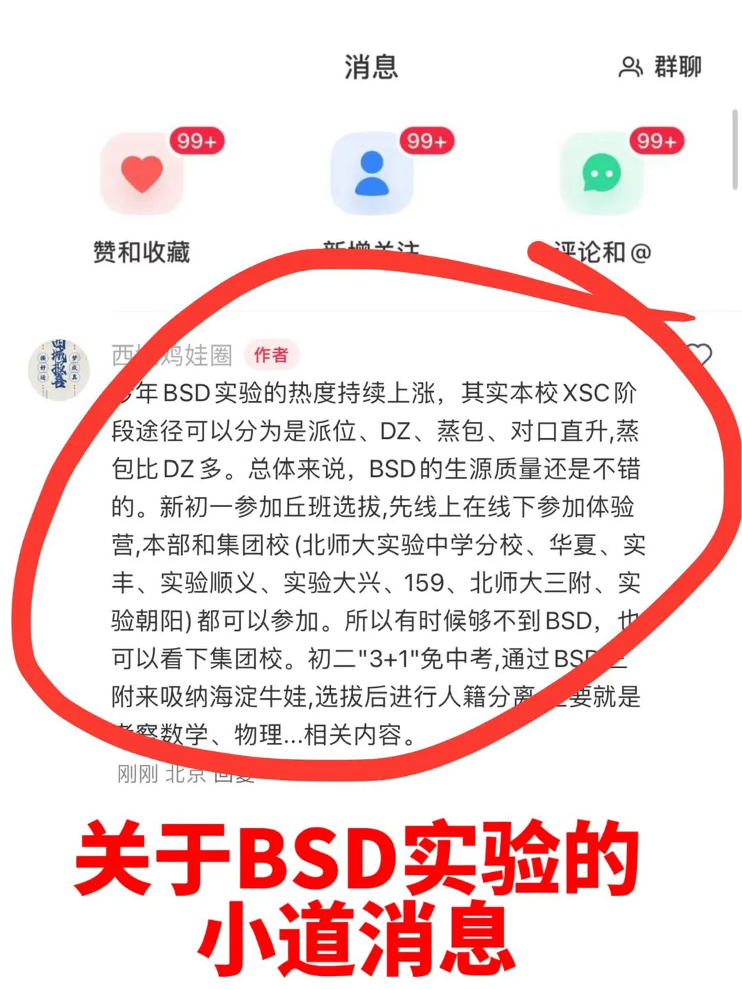 一些关于西城BSD实验的小道消息‼️