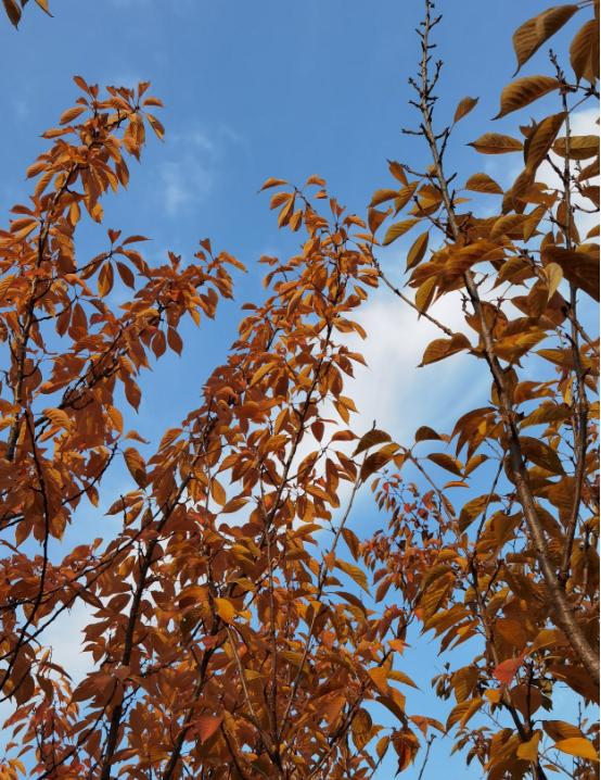 国民党一定要清醒的看清自己，目前你在台湾只是在野党，而不是执政党。在推进统一过程