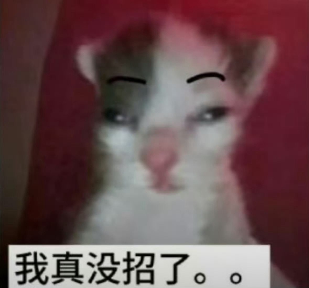 越长大越发现父母辈儿真的很厉害，能买车买房，甚至还能给自己的孩子再买一套房，还能