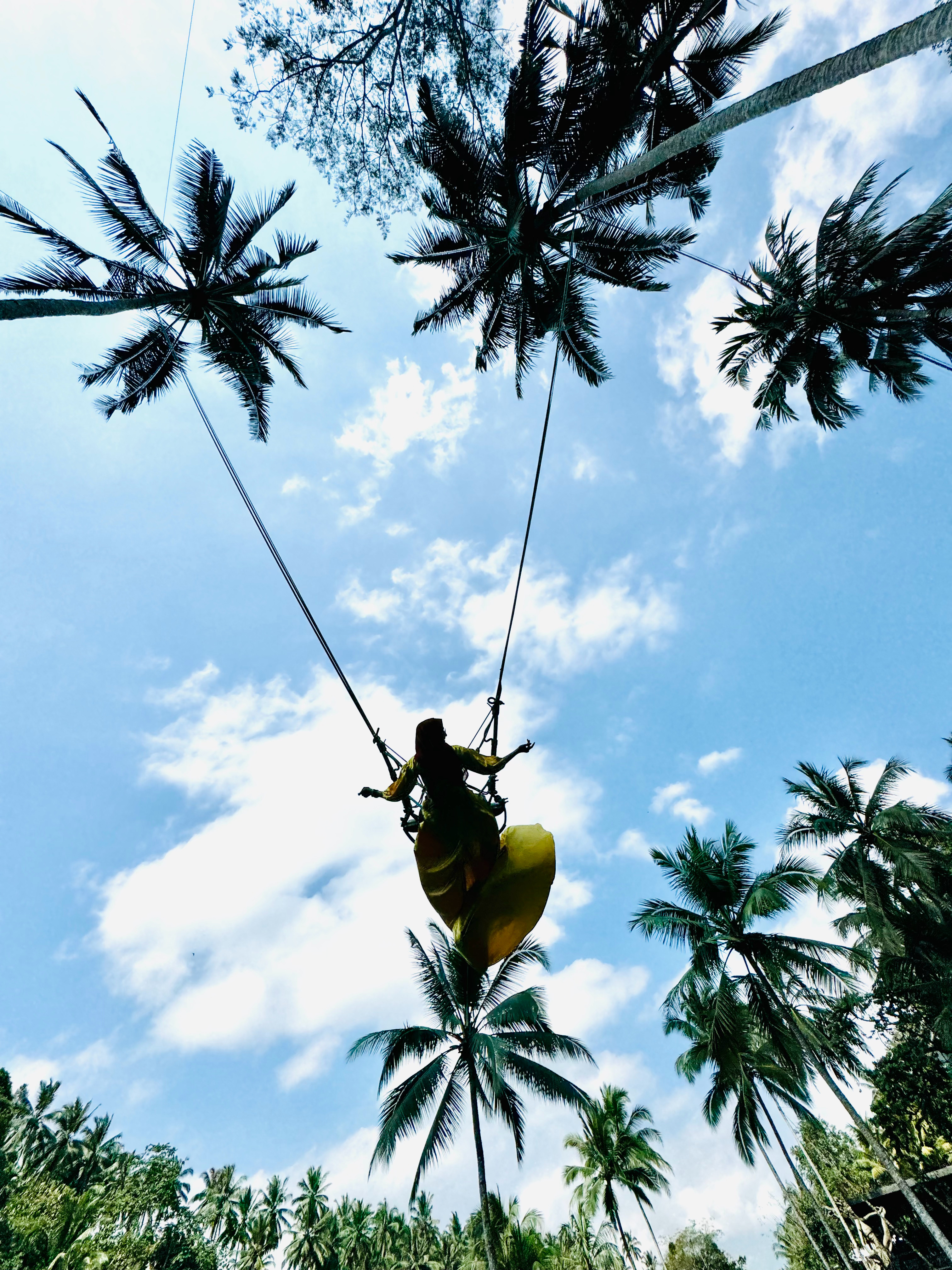 巴厘岛著名景区大树倒塌致2女子身亡 夏天我在巴厘岛还荡秋千，现在就遇见阴阳两隔两