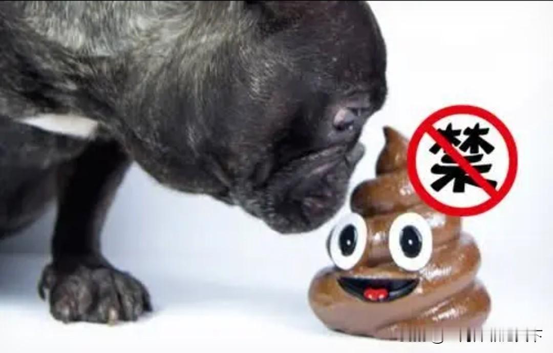 #“军国主义”为何能在日本存续下来#狼行千里吃肉，狗到老死吃屎💩刻在骨子里的东