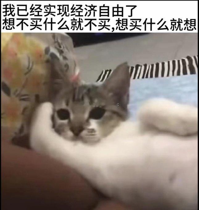 我已经实现经济自由 