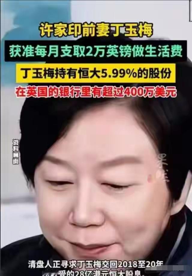 逃到英国两年，许家印前妻再迎2大噩耗，儿子也遭牵连

许家印前妻丁玉梅，那个曾经