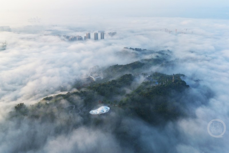 秋韵（506）| 上游主题摄影征稿作品展——何万全作品