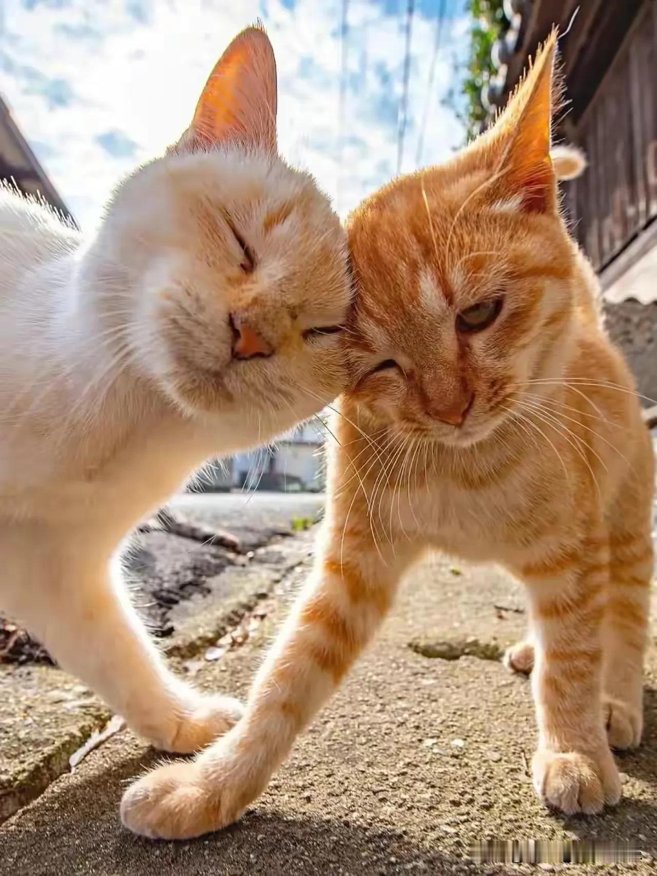 昨天中午我老公去上班，正赶上后厨来了一车货，后厨的货不归前厅管，可是前厅的小赵在