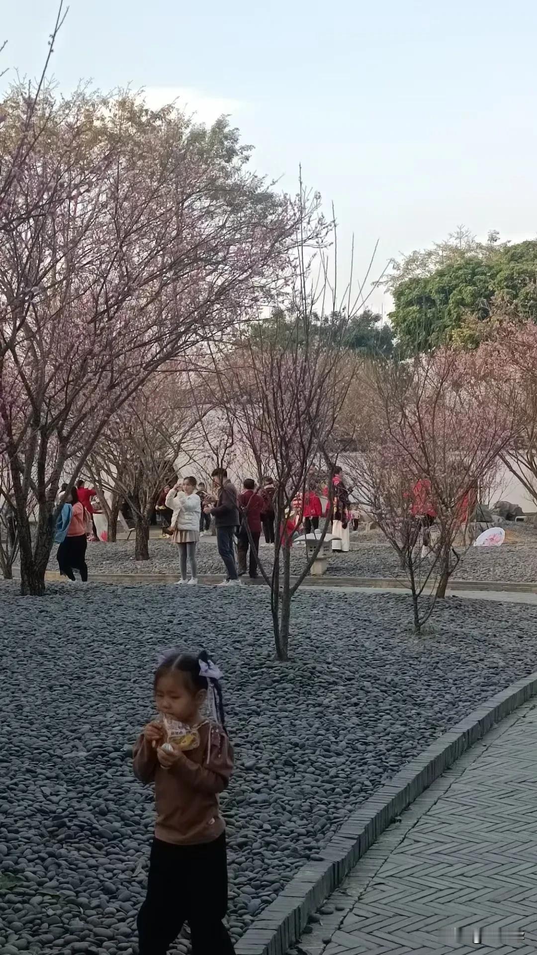 晒图笔记大赛2025年2月，分享一组广西南宁青秀山风景区