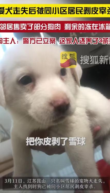 江苏昆山，女子没关好门，家里的狗跑了出去，结果被邻居老人剥了皮把肉卖了。女子和丈