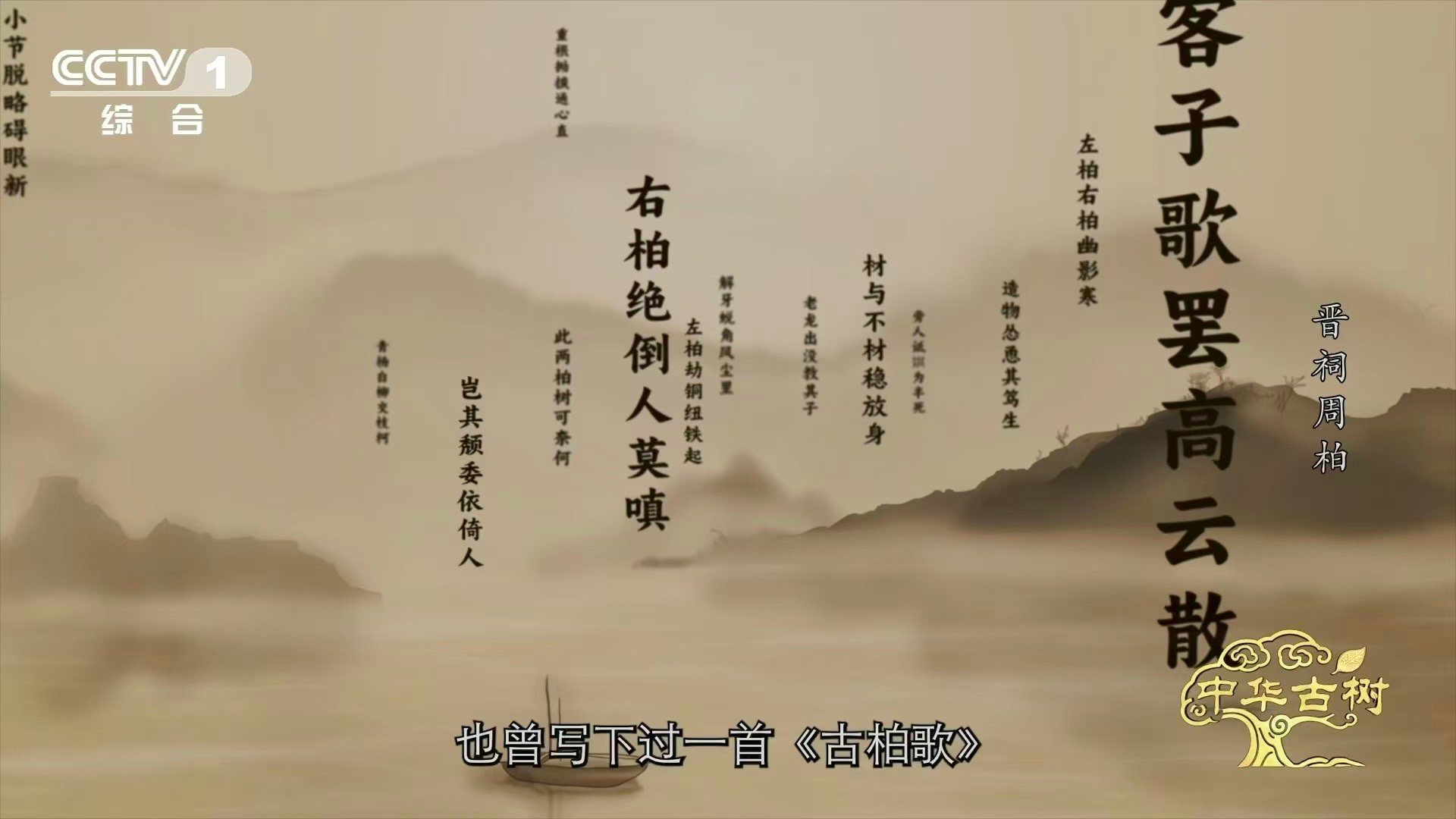 3000岁古树横着长的秘诀3000岁古柏躺着长了数百年 一株树，躺了数百年，却站