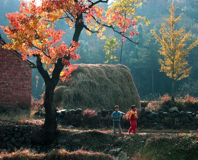 有明星代言的商品更值得买吗？我刚刚网购了一单香某酱，说他们用品质和信用代言，没有