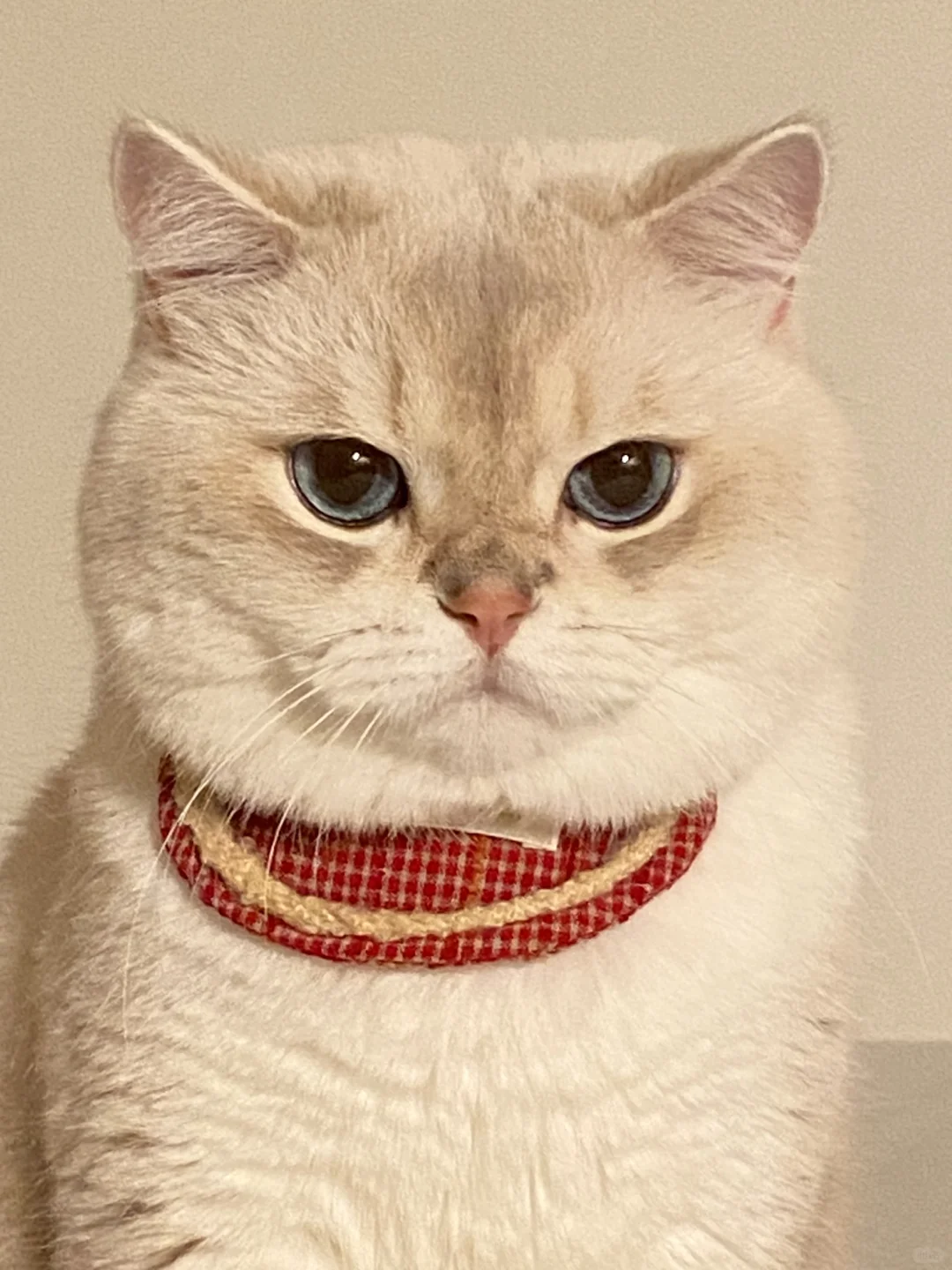 你没有脖子！