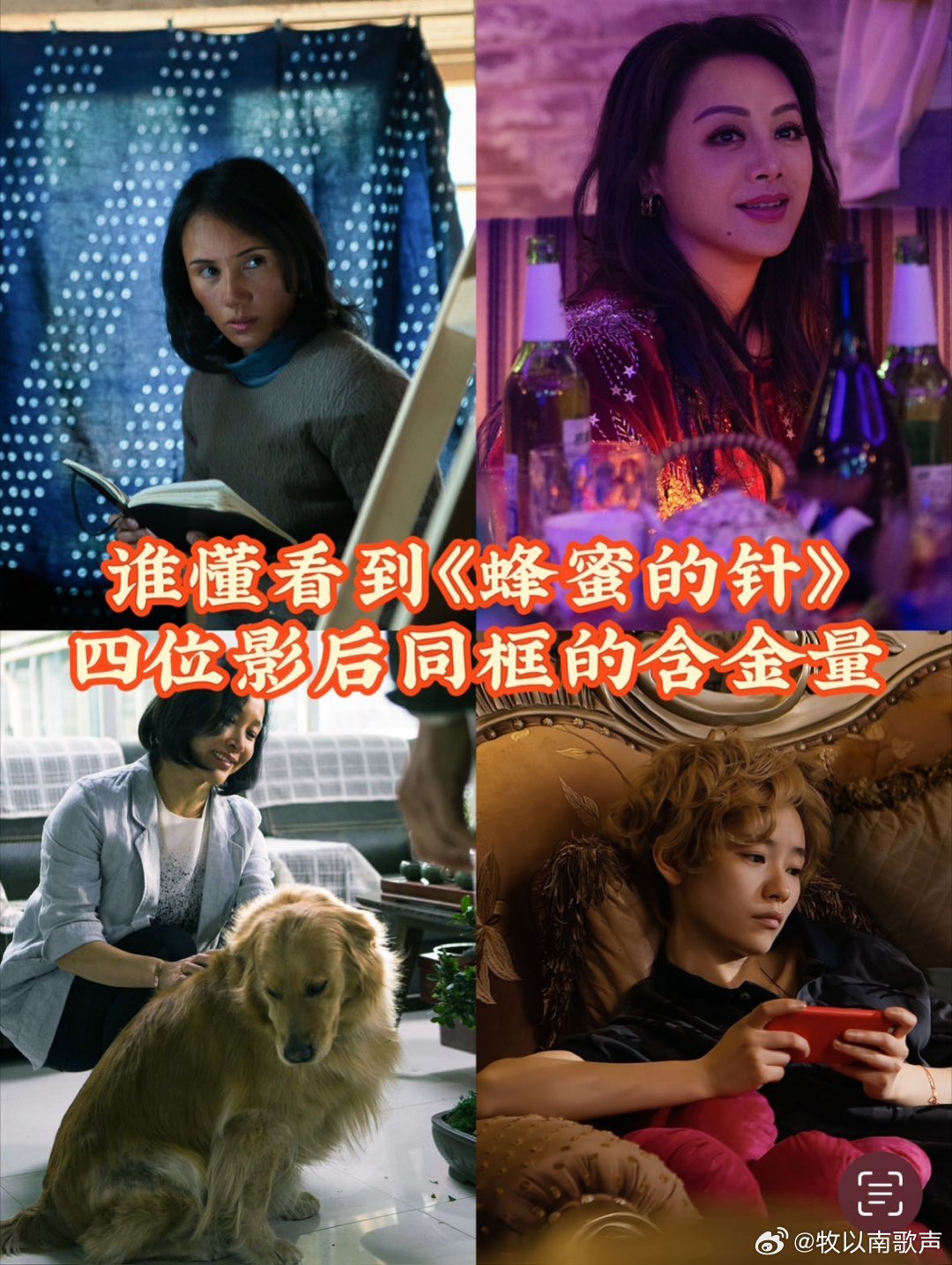 电影蜂蜜的针定档知道不，电影《蜂蜜的针》 3.28上映！光看预告片就燃炸了，赵薇