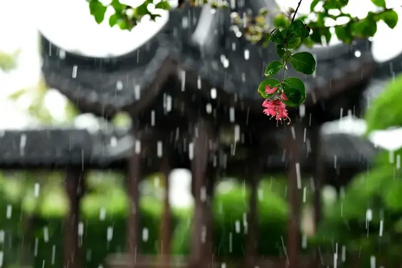 雨夜

雨夜里把相思流萤
一滴滴泪是秋风在酿成
雨雾中寻不到星星的倩影
淅沥声倾