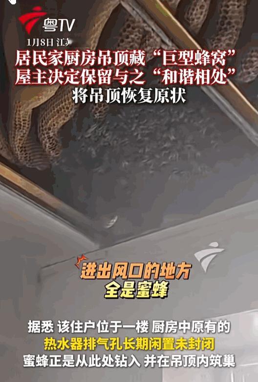 万万没想到！江苏一居民家要安热水器，师傅拆开厨房吊顶，竟然发现里面有个大型蜂窝，