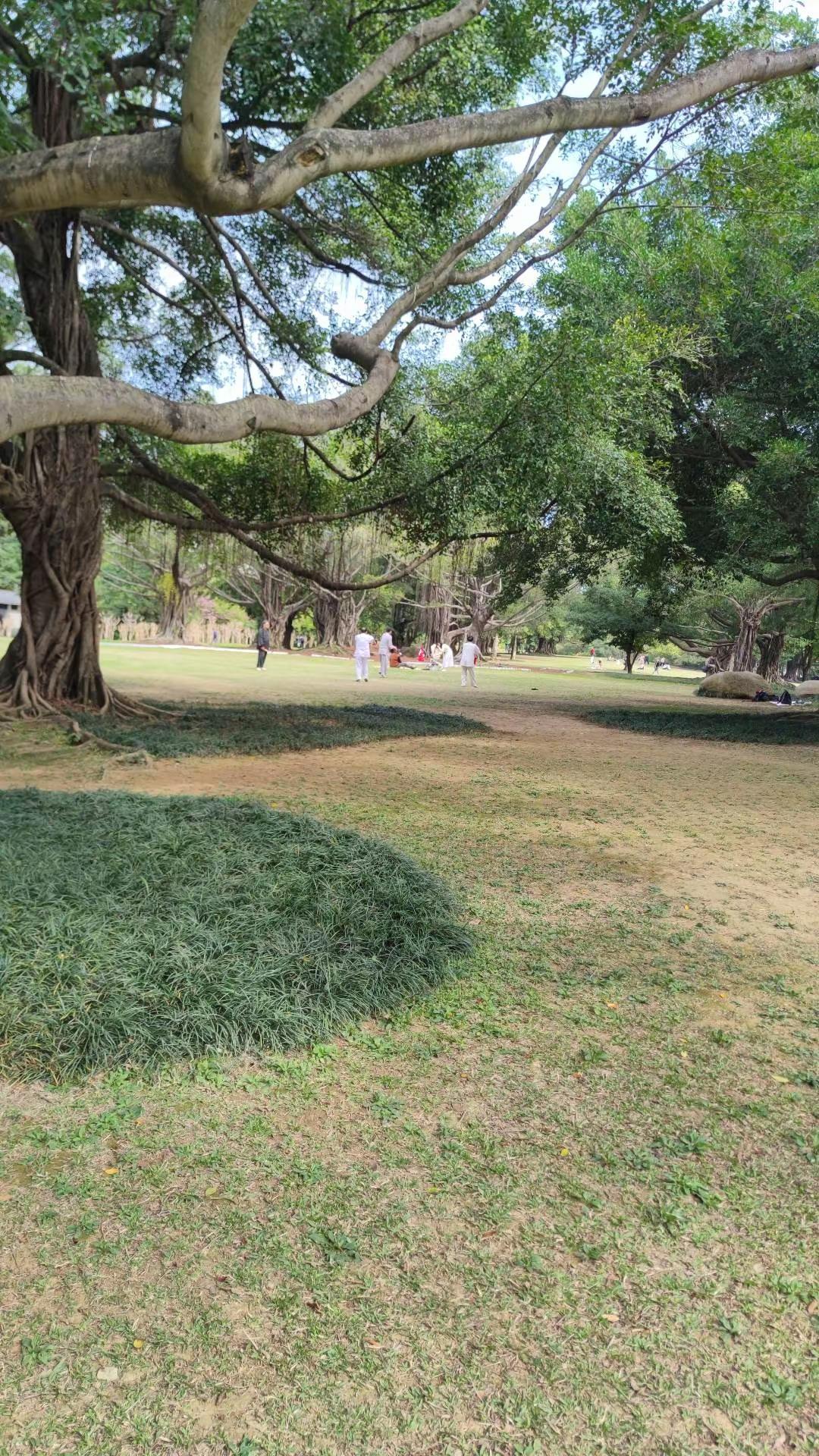 南湖公园真美。大自然的美无处不在，用手机记录生活点滴 随走随拍大自然的美光