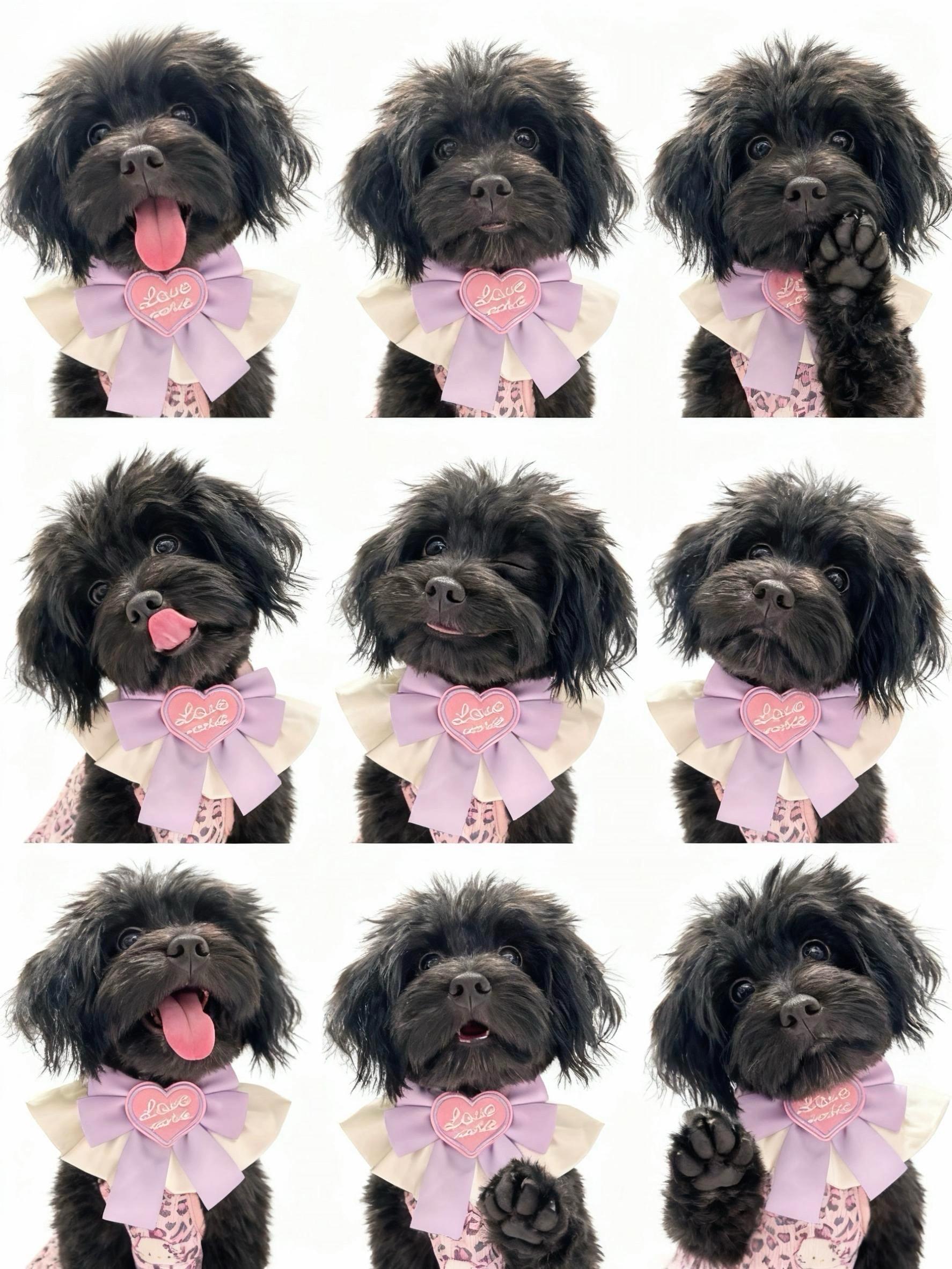 小橙子也有自己的九宫格啦