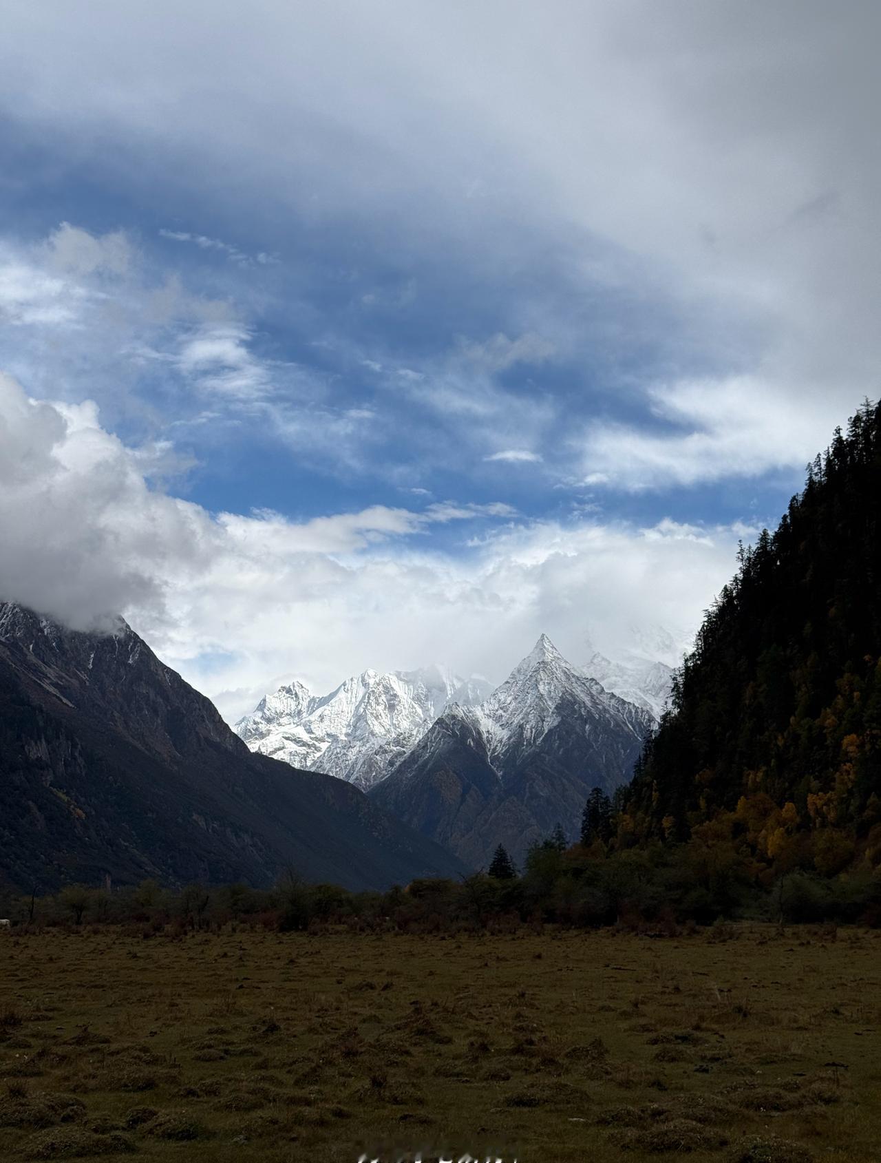 10月底的林芝依然美翻了，来自驾的兄弟们推荐这个杂拉沟，太美啦！ ​​​