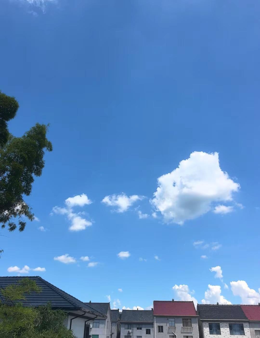 亲爱的姑娘“请拾起自己，请剥落旧我”见心见自己人生没有白走的路，对了就庆祝，错了