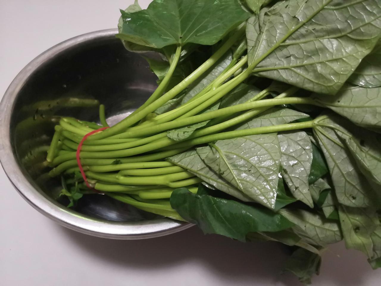 我说出一件事情，肯定很多人不相信:小时候，这种菜在我们农村老家根本不叫菜，是专门