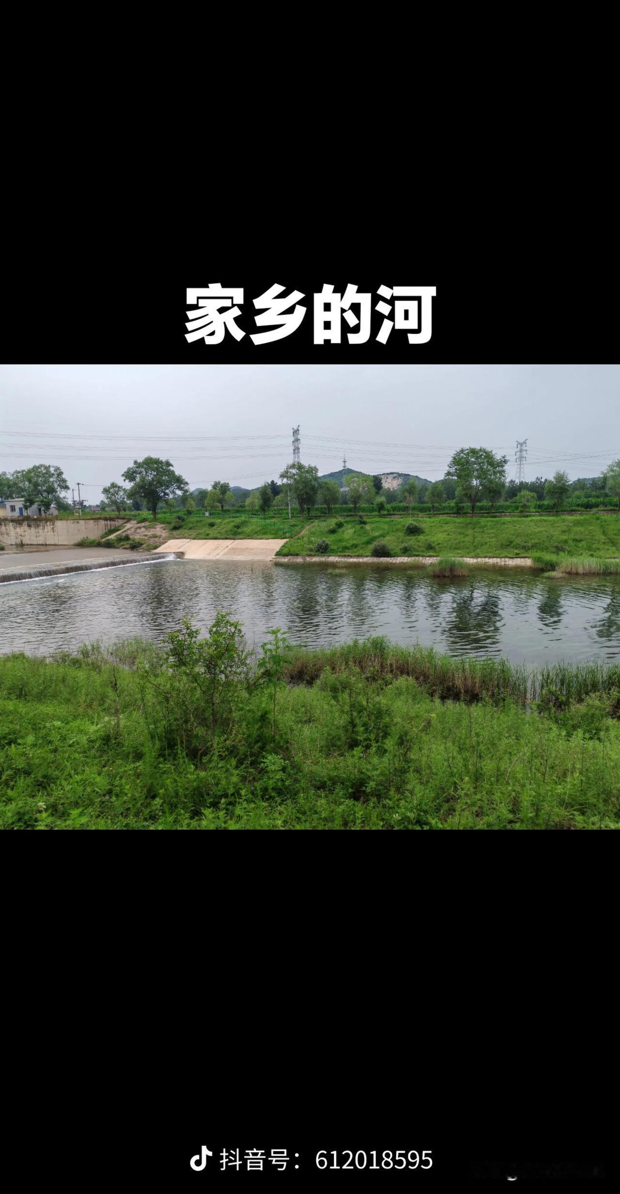 梦回童年(忆往昔)

小河里
长满高高的柳树
河水漫过了柳腰
一群调皮鬼
来到了