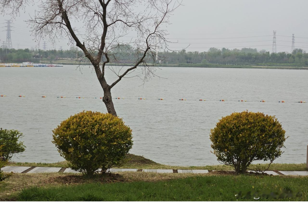初春的微风，就像一双温柔的手，轻轻抚过游人的脸庞，那感觉，舒服到骨子里。
在这微