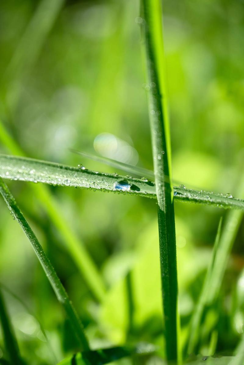 今天是个好日子
阳光明媚
心情愉悦
做完该做的
用了二个小时
现在躺在沙发上悠闲